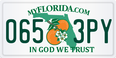 FL license plate 0653PY