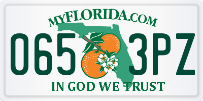 FL license plate 0653PZ