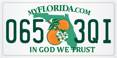 FL license plate 0653QI