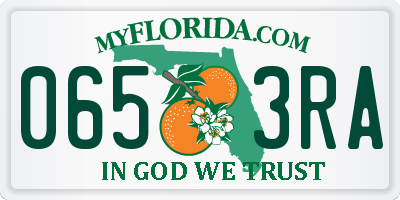 FL license plate 0653RA