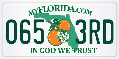 FL license plate 0653RD
