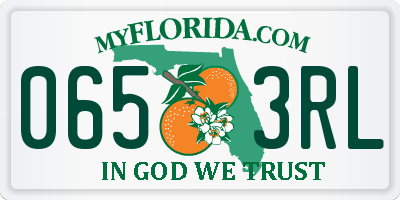 FL license plate 0653RL