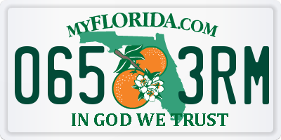 FL license plate 0653RM