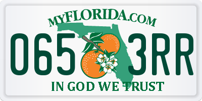 FL license plate 0653RR