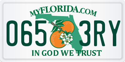 FL license plate 0653RY