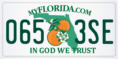 FL license plate 0653SE