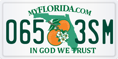 FL license plate 0653SM