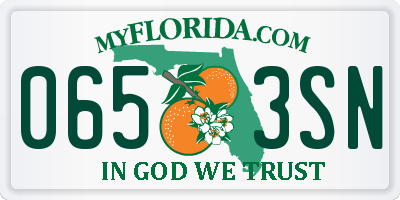 FL license plate 0653SN