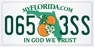 FL license plate 0653SS