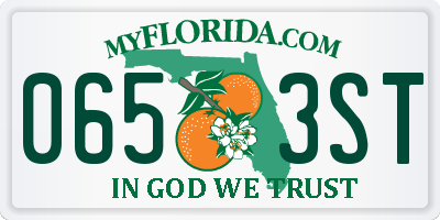 FL license plate 0653ST