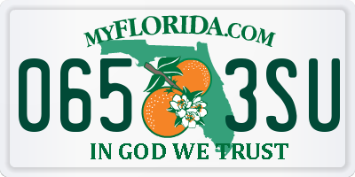 FL license plate 0653SU