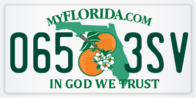 FL license plate 0653SV
