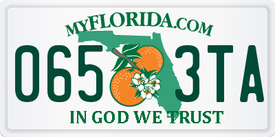 FL license plate 0653TA