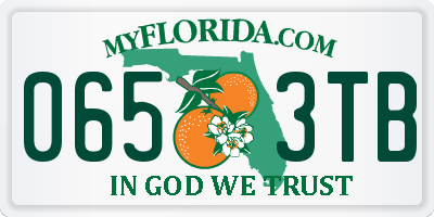 FL license plate 0653TB