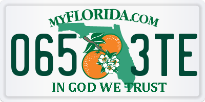 FL license plate 0653TE
