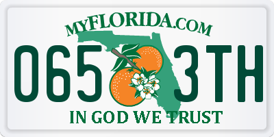 FL license plate 0653TH