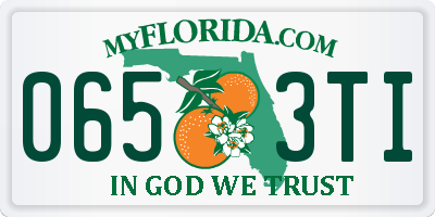 FL license plate 0653TI
