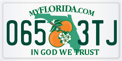 FL license plate 0653TJ