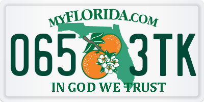 FL license plate 0653TK