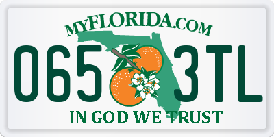 FL license plate 0653TL