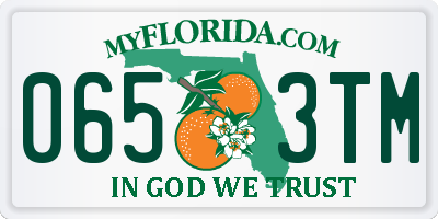 FL license plate 0653TM