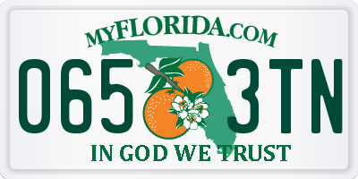 FL license plate 0653TN