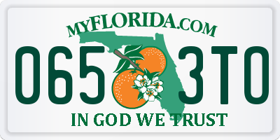FL license plate 0653TO