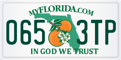 FL license plate 0653TP