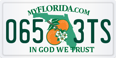 FL license plate 0653TS