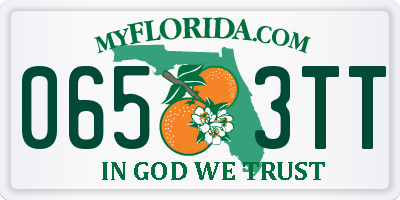 FL license plate 0653TT