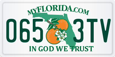 FL license plate 0653TV
