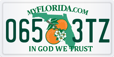 FL license plate 0653TZ