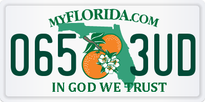 FL license plate 0653UD