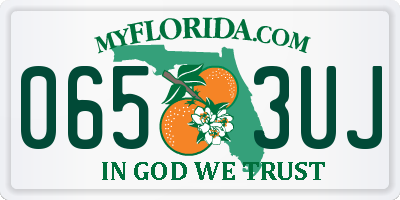 FL license plate 0653UJ