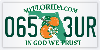 FL license plate 0653UR