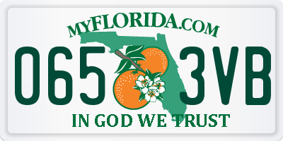 FL license plate 0653VB