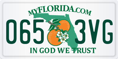 FL license plate 0653VG