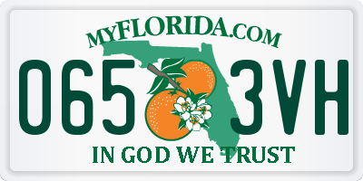 FL license plate 0653VH