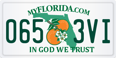FL license plate 0653VI