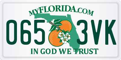 FL license plate 0653VK