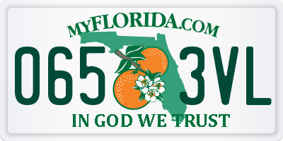 FL license plate 0653VL