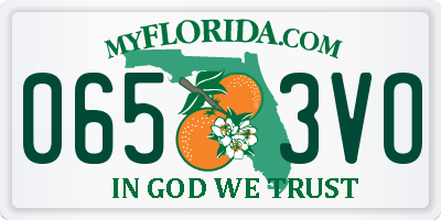 FL license plate 0653VO
