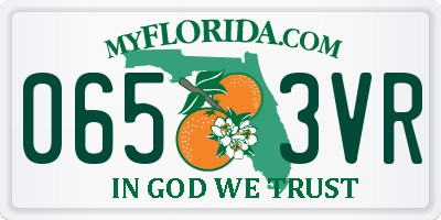 FL license plate 0653VR