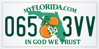 FL license plate 0653VV