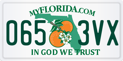 FL license plate 0653VX