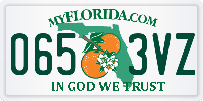 FL license plate 0653VZ