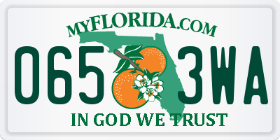 FL license plate 0653WA