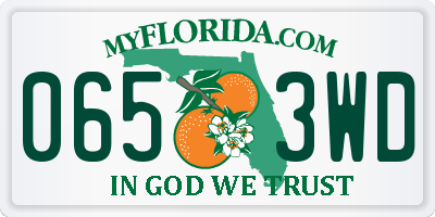 FL license plate 0653WD