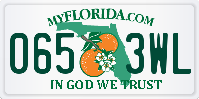 FL license plate 0653WL