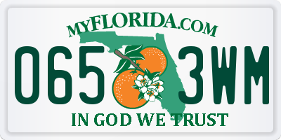 FL license plate 0653WM